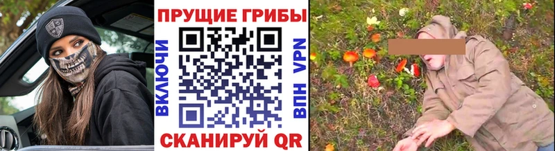 Псилоцибиновые грибы мицелий Радужный